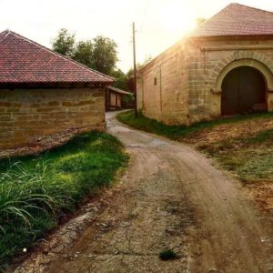 Rogljevačke pivnice – pivnica i smeštaj Jovanović Negotin
