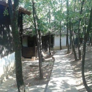 ETNO SELO DIVLJAKOVAC- RESTORAN KOD VLADIMIRA