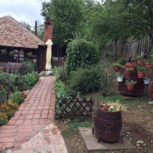 ETNO SELO DIVLJAKOVAC- RESTORAN KOD VLADIMIRA