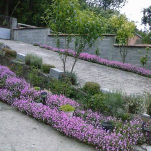 Rogljevačke pivnice – pivnica i smeštaj Jovanović Negotin