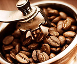 SALE KAFA
