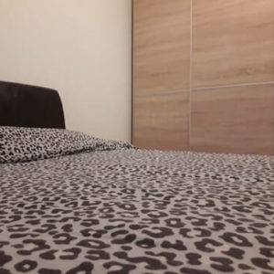 Izdavanje apartmana – Novi Sad