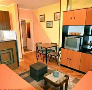 Izdavanje apartmana – Novi Sad
