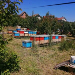 Proizvodi od meda Grocka – Beograd  Pčelarsko gazdinstvo Željko Stanković