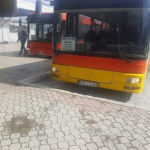 Autobuski i kombi prevoz Arilje GRUJIĆ MN TRAVEL