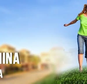 WINNER NEKRETNINE – BEOGRAD