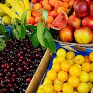 Prodaja i otkup voća AGROBIZNIS Prokuplje