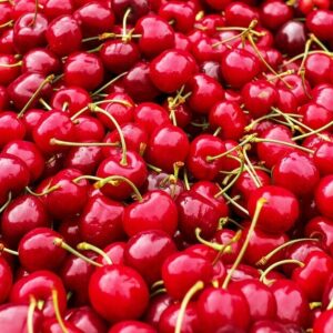 Prodaja i otkup voća AGROBIZNIS Prokuplje