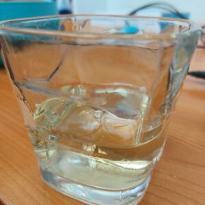 Proizvodnja leda Pirot RADOLED