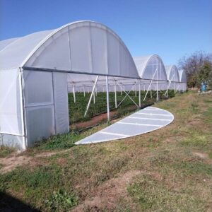 Izrada i montaža plastenika Niš METAL LINET