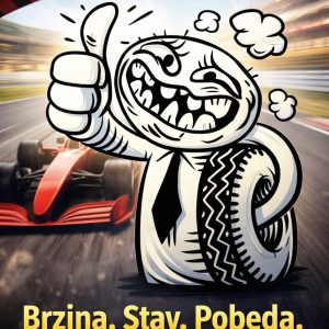 Trgovina i vulkanizer ALEKSANDAR F1 Beograd