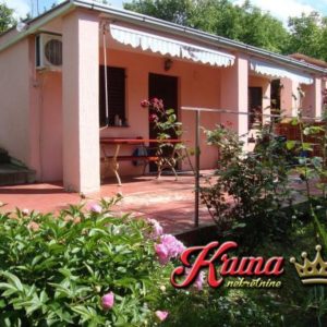 KRUNA NEKRETNINE – Novi Sad