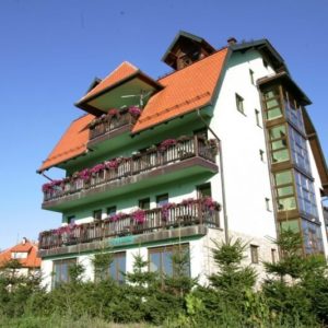 VILA PEDJA – ZLATIBOR