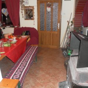 Šumska kuća BUBAMARA – Deliblatska peščara