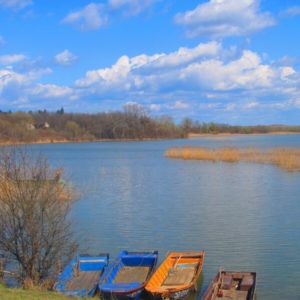 Šumska kuća BUBAMARA – Deliblatska peščara