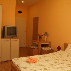 VILA KRALJICA – Vrnjačka Banja
