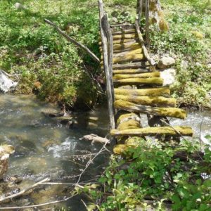 Glamurozni glamping – Brvnara Glišović