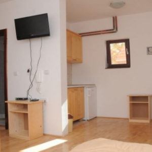 KONACI ROMANOV – Soko Banja