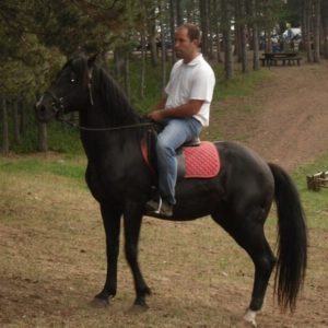 Apartmani Zlatibor – VILA GORŠTAK – Škola jahanja