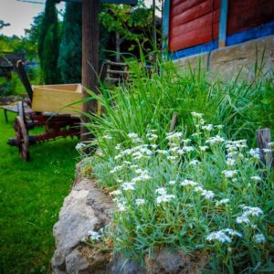 ETNO KOMPLEKS „GUČEVSKI VAJATI“