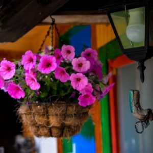 ETNO KOMPLEKS „GUČEVSKI VAJATI“