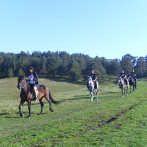 Apartmani Zlatibor – VILA GORŠTAK – Škola jahanja