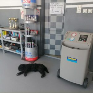 Automehaničar, auto servis DAMIR PLUS – Pančevo