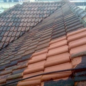 Pranje i farbanje krovova B&T CLEAN ROOF