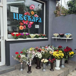 Pogrebna agencija PERSEFONA Pirot