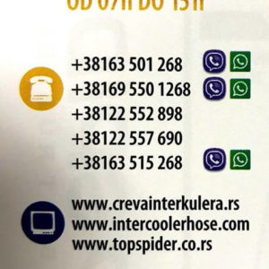 Top Spider doo Indjija
