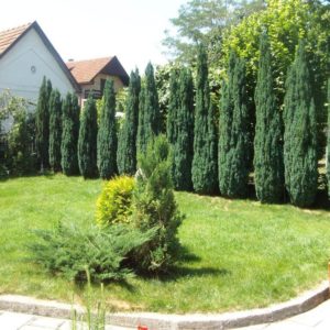 Apartmani Maksimović – Banja Koviljača