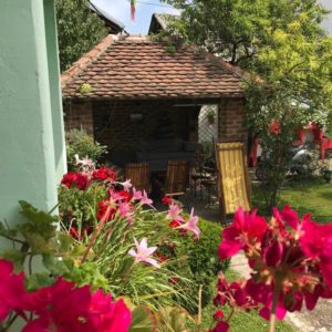 Apartmani Maksimović – Banja Koviljača