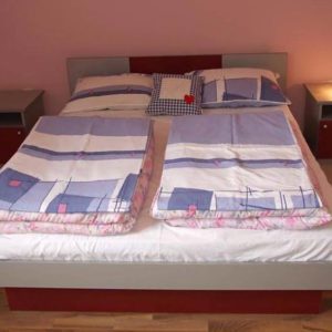 VILA ALEKSANDRA – Bajina Bašta
