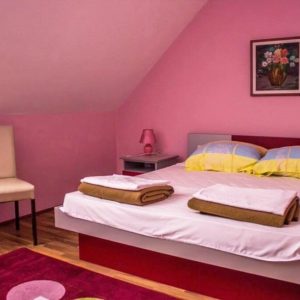 VILA ALEKSANDRA – Bajina Bašta