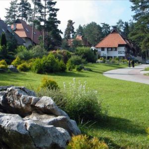 APARTMANI TOJIĆ – Zlatibor