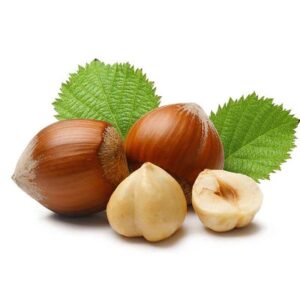 Sadnice lešnika Kruševac ZZ RASADNIK LEŠNIK