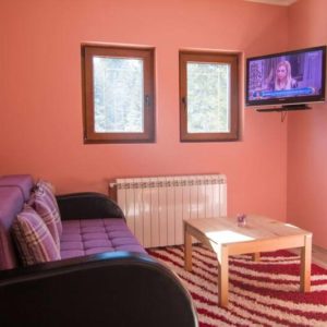 Vila TRI SRCA OSLUŠA – planina Tara