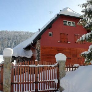 Vila SVITAC – Mitrovac – planina Tara