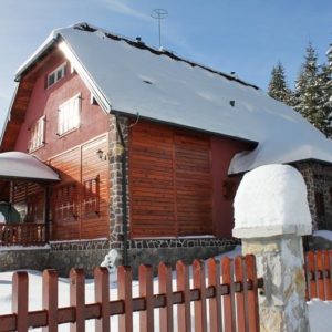 Vila SVITAC – Mitrovac – planina Tara