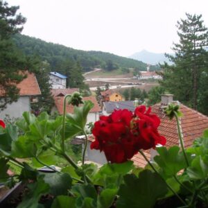 Jeftin smeštaj Pribojska Banja VILA ODMOR