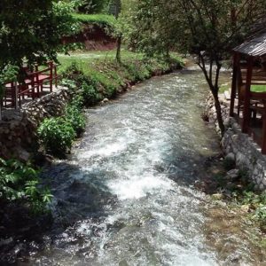 Kafana „Žubor vrela“ Lisine