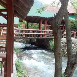 Kafana „Žubor vrela“ Lisine