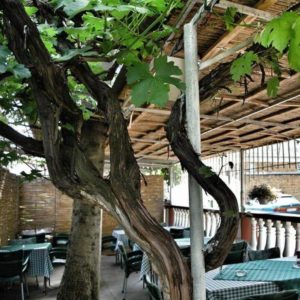 Restoran Stara Promenada – Sremska Mitrovica