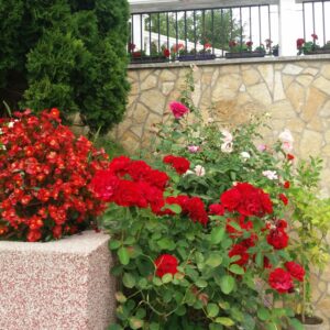 Jeftin smeštaj Pribojska Banja VILA ODMOR