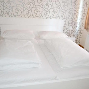 Prenoćište & Cafe Alex 01 – Niš