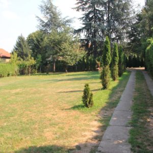 Lipovačka bajka, Beograd, Sremčica