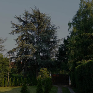 Lipovačka bajka, Beograd, Sremčica