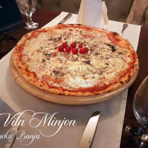 VILA MINJON – Vrnjačka Banja