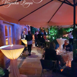 VILA MINJON – Vrnjačka Banja