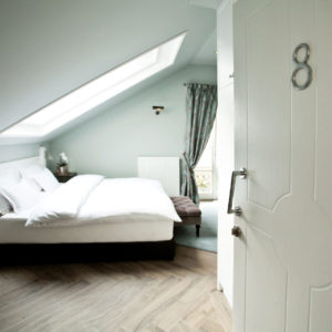 VILA MINJON – Vrnjačka Banja